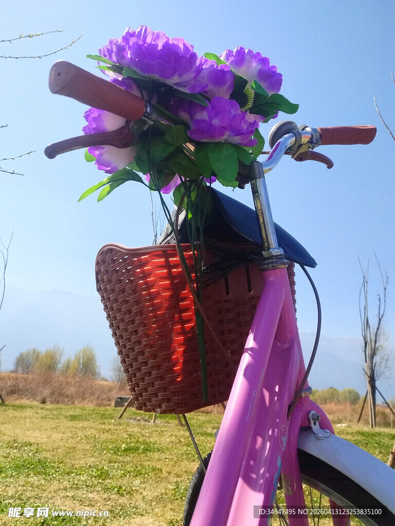 粉色单车配紫色花篮