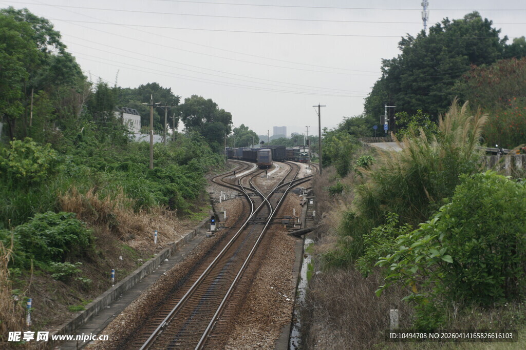 郊外铁轨旁的葱郁绿植
