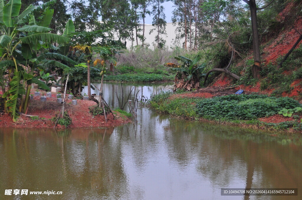宁静河畔的自然景观