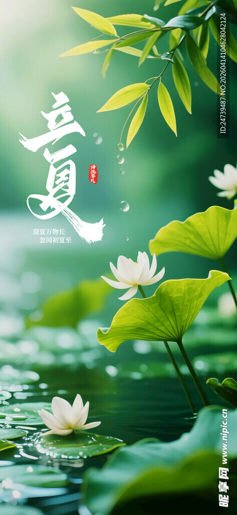 立夏海报
