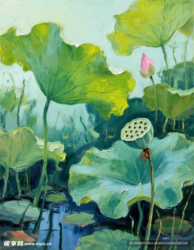 夏日盛开的娇艳荷花