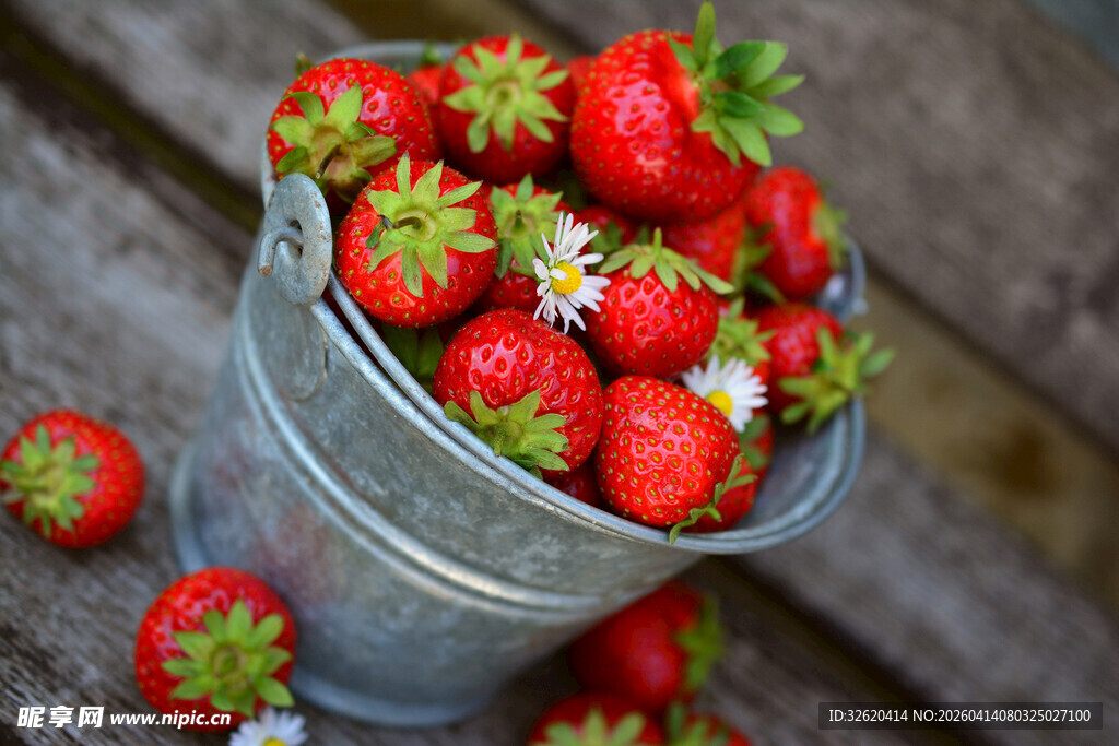 新鲜草莓