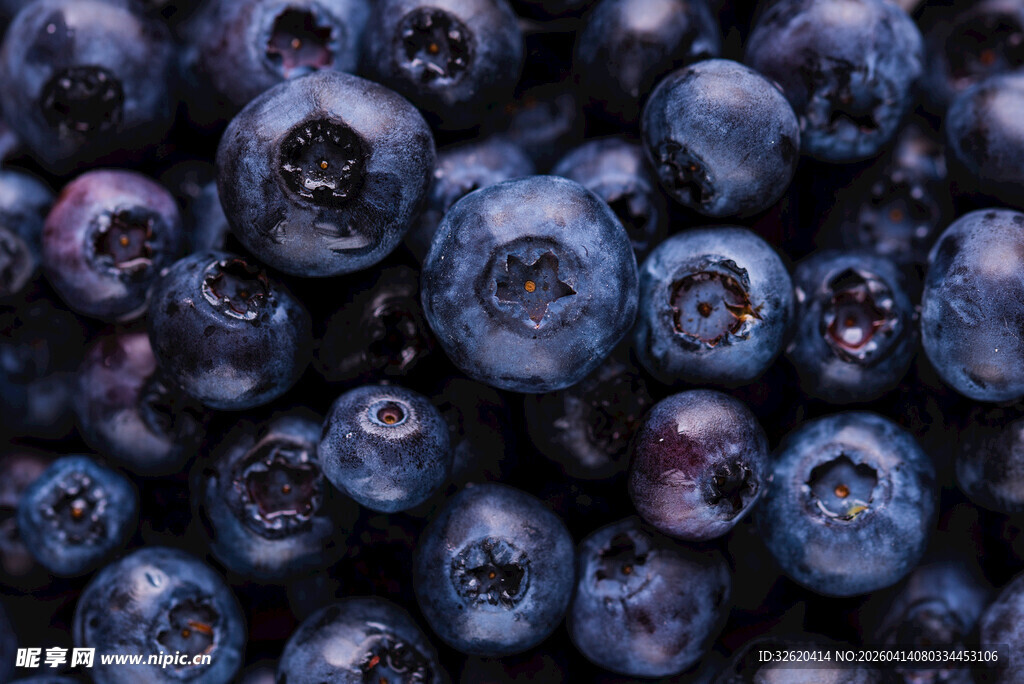 饱满蓝莓