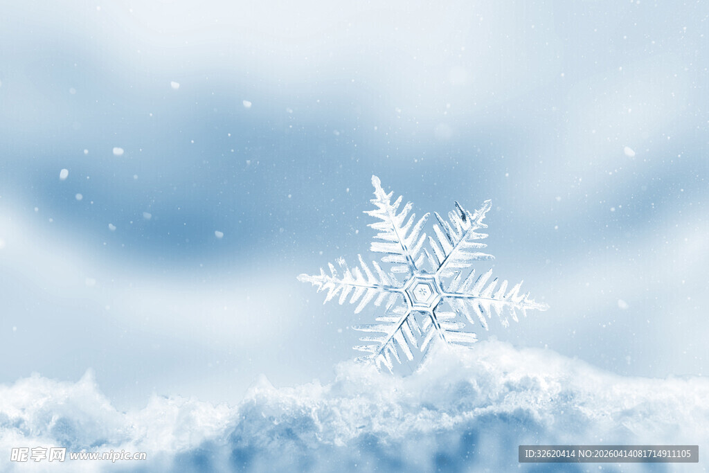 梦幻雪花于云端绽放