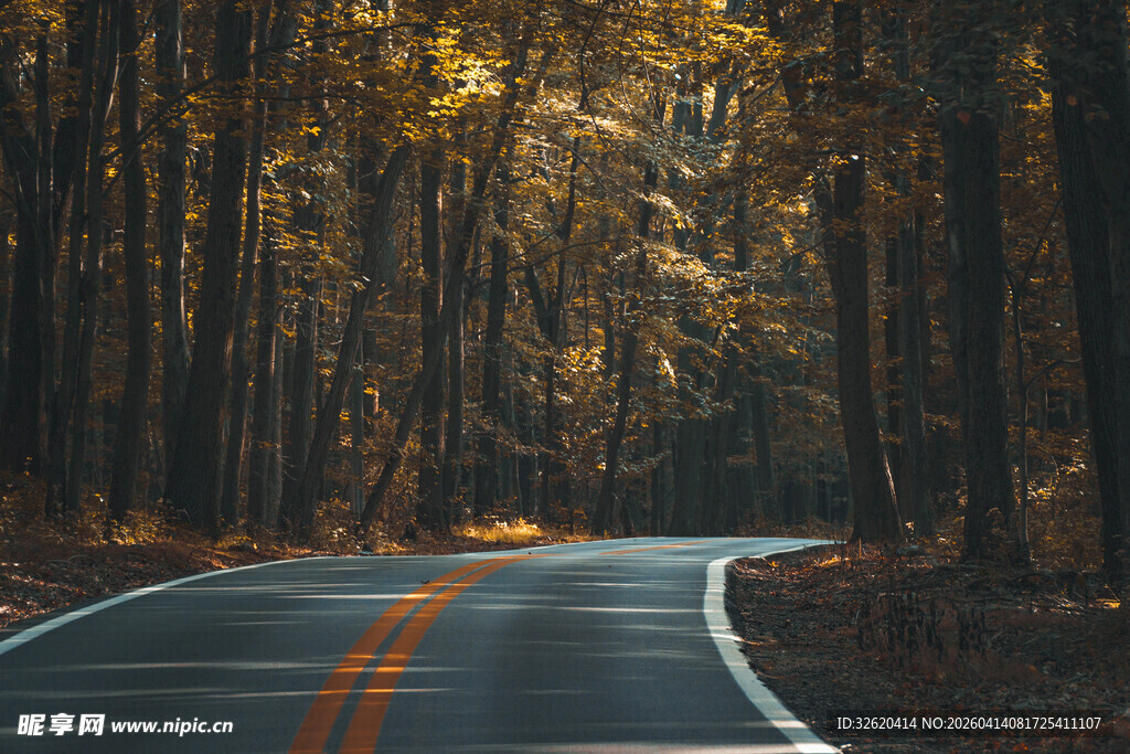 蜿蜒秋路穿行于斑斓树林