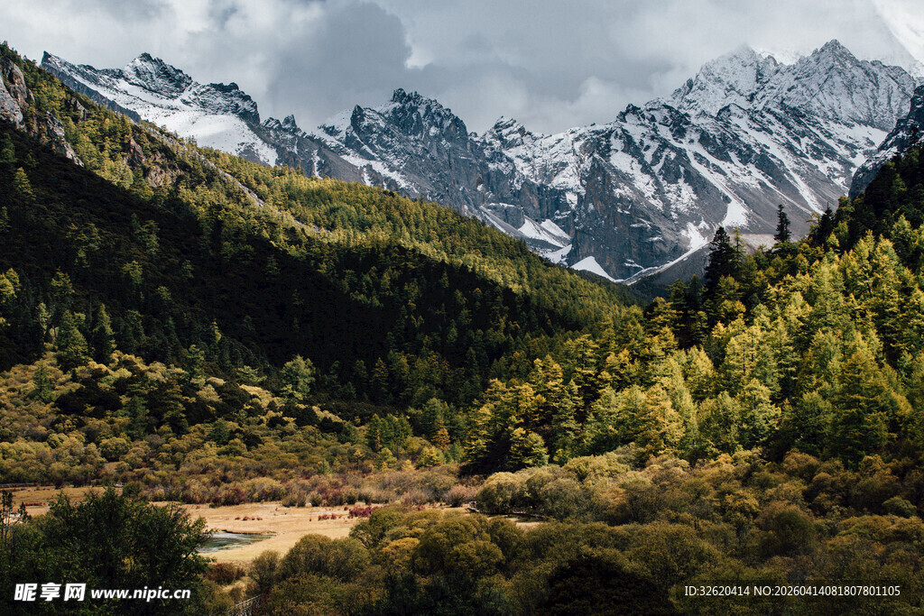 壮丽山林间的巍峨雪山