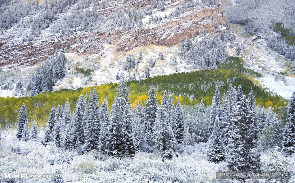 雪覆山林的冬日美景