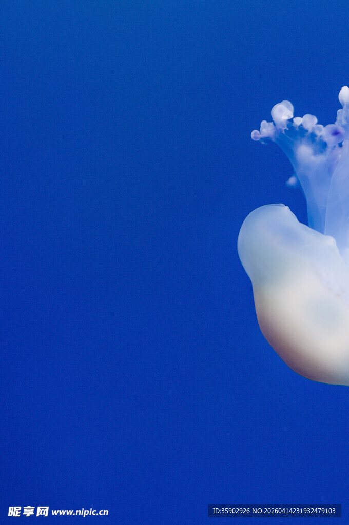 蓝天下的独特云朵