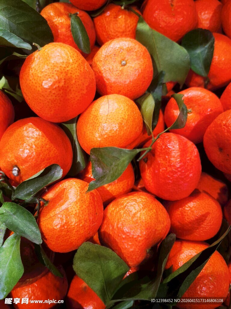 新鲜饱满的砂糖橘