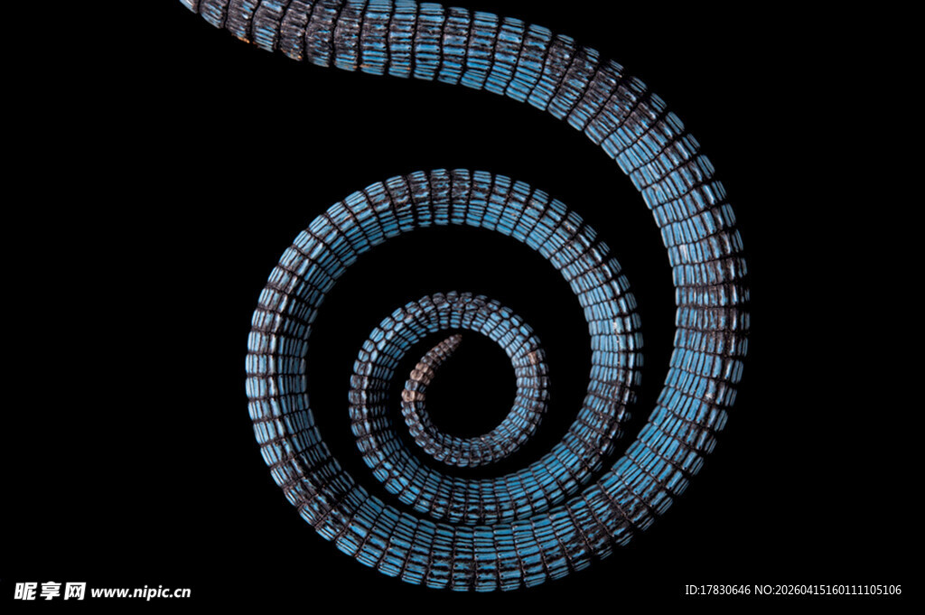 螺旋状蓝色结构图案