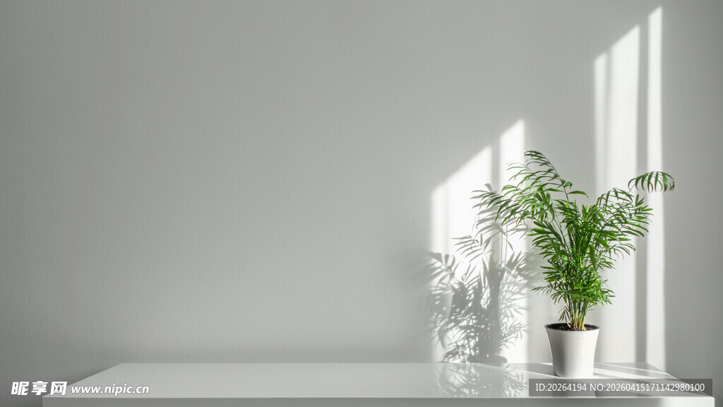 简约室内窗边绿植景致