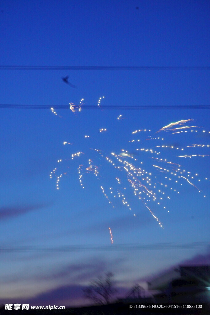 绚丽烟花夜空绽放