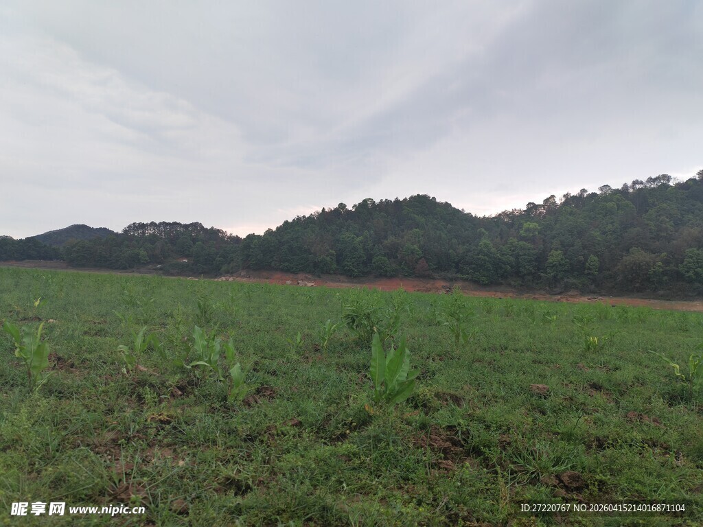 广袤绿野与远处山峦景色