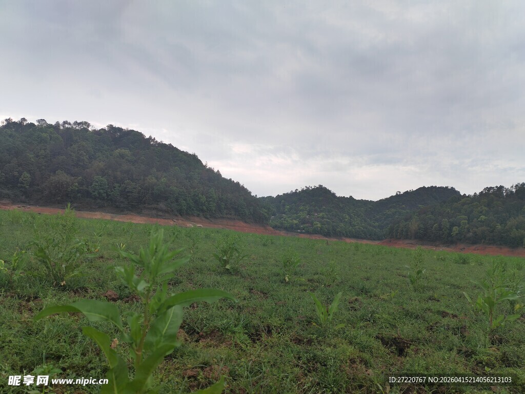 广袤田野与远山景色