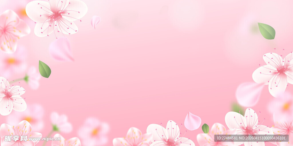 粉色烂漫樱花背景图