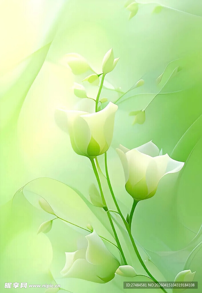 清新绿背景下的素雅白花