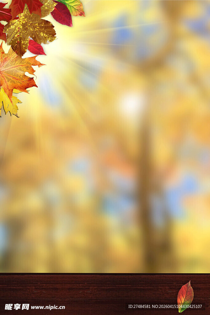 秋日阳光透过斑斓树叶