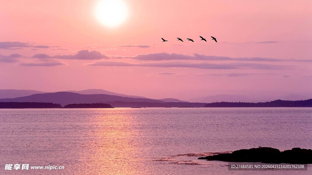 夕阳下飞鸟掠过宁静海面