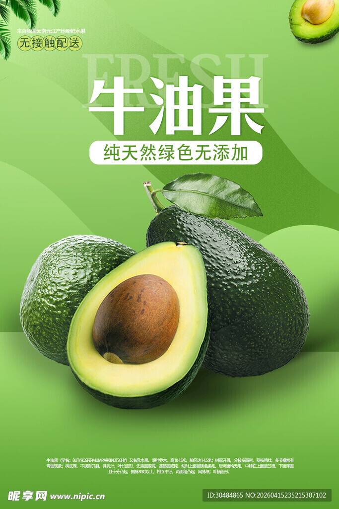 牛油果海报