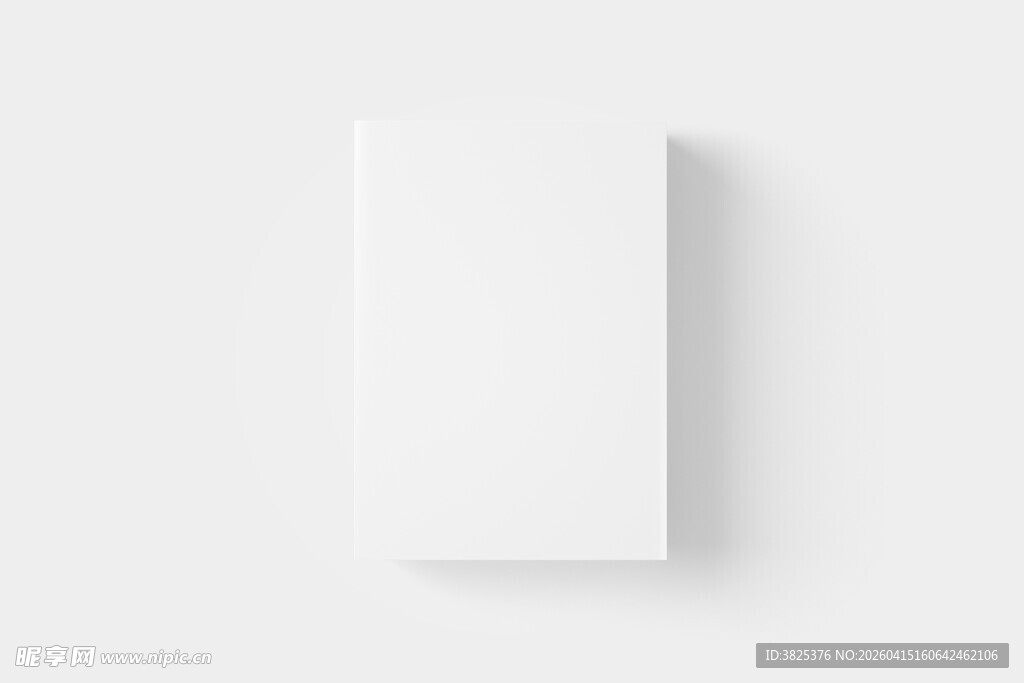 长方形扁盒子包装设计展示样机