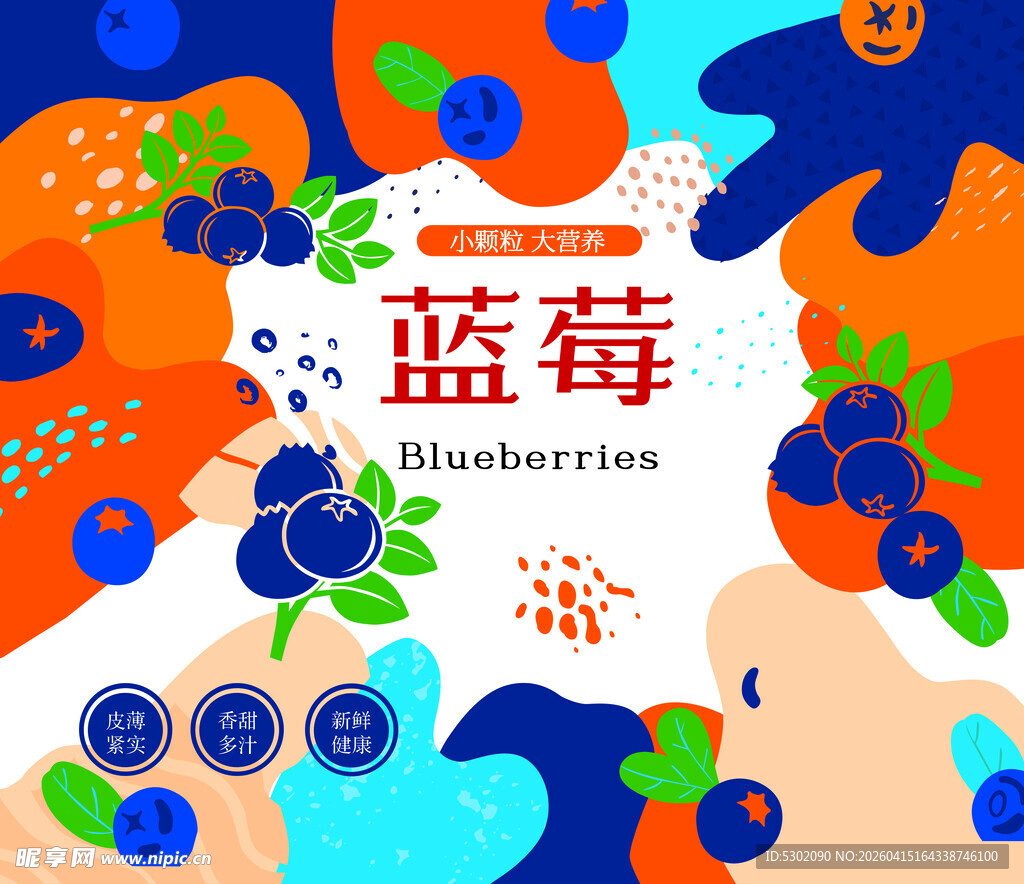 蓝莓插画海报