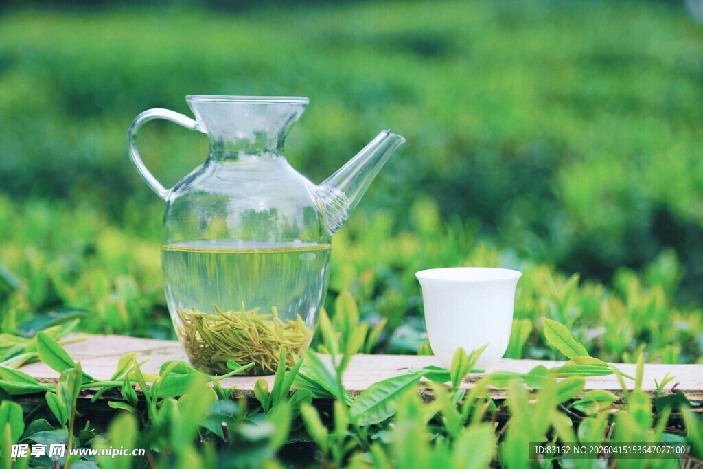 玻璃壶泡绿茶