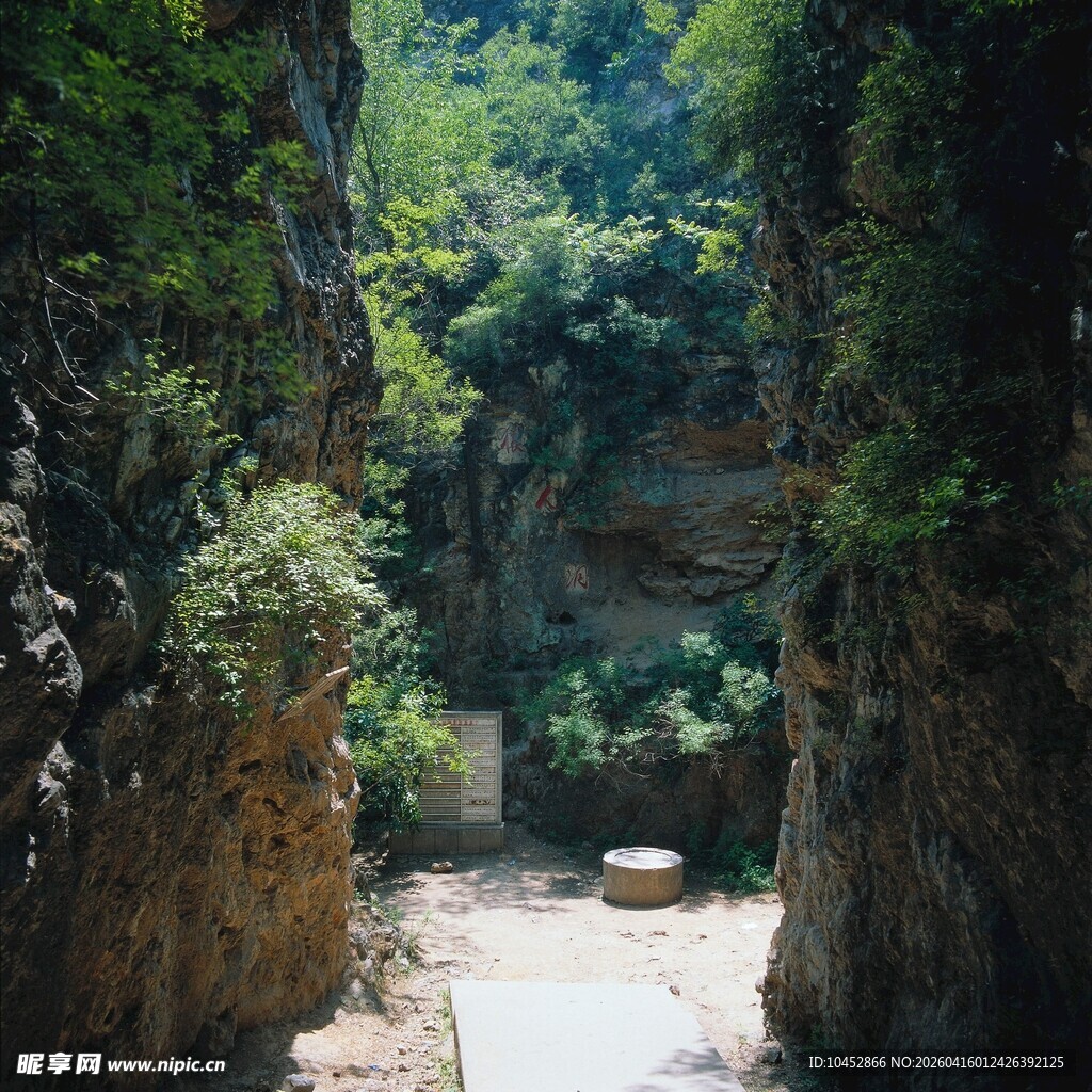 峡谷间的绿意幽径