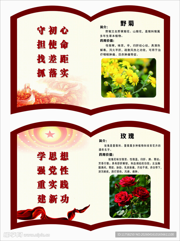 党建与中草药名