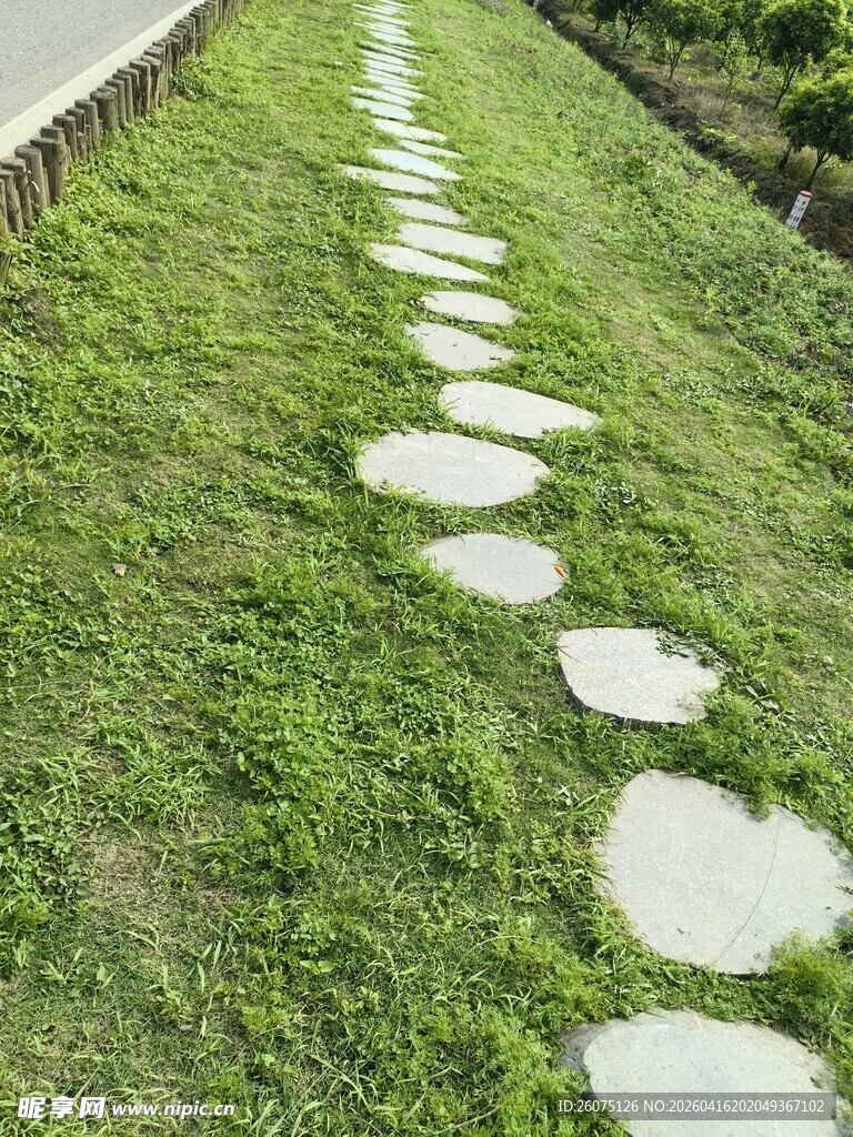 草地中的圆形石板小径