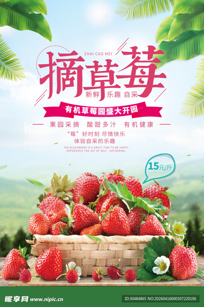 摘草莓海报
