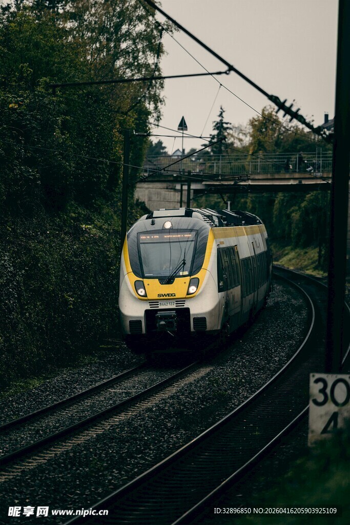 高速列车穿行于林间轨道