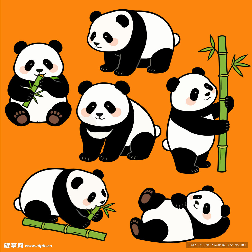 可爱熊猫姿态各异