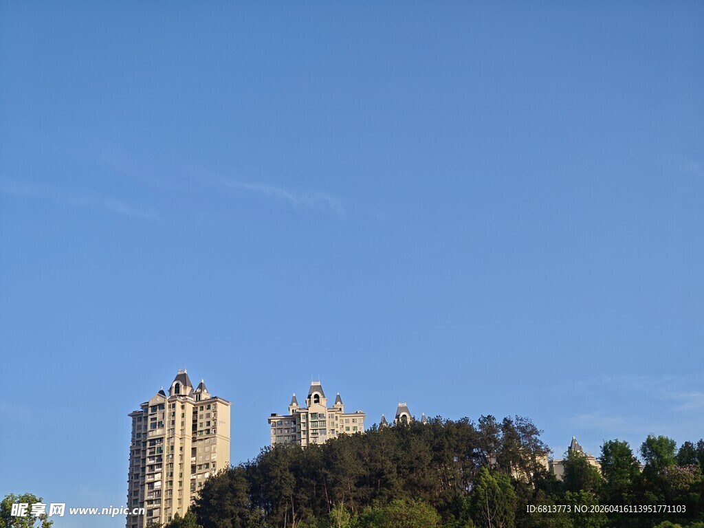 高楼矗立在葱郁山林之上