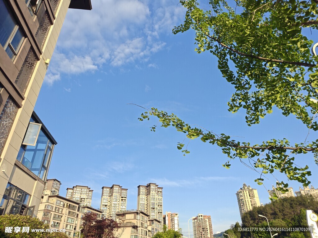 城市建筑与绿树蓝天景观