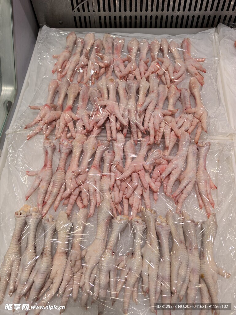 冷冻鱿鱼整齐摆放