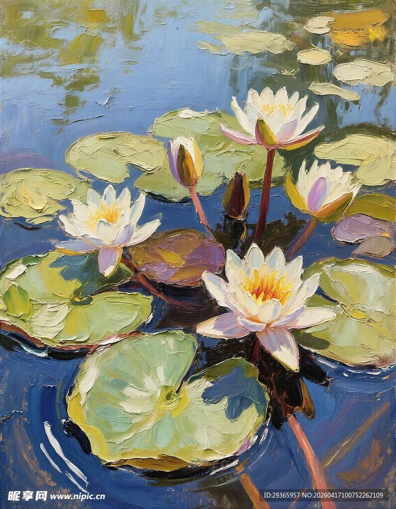 水中绽放的美丽睡莲