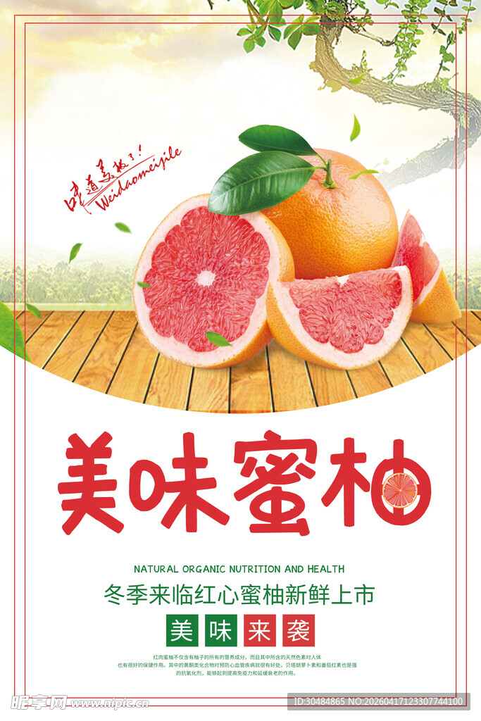 柚子海报