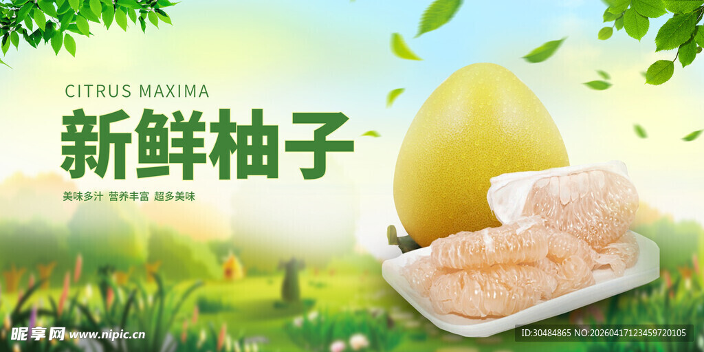 新鲜柚子