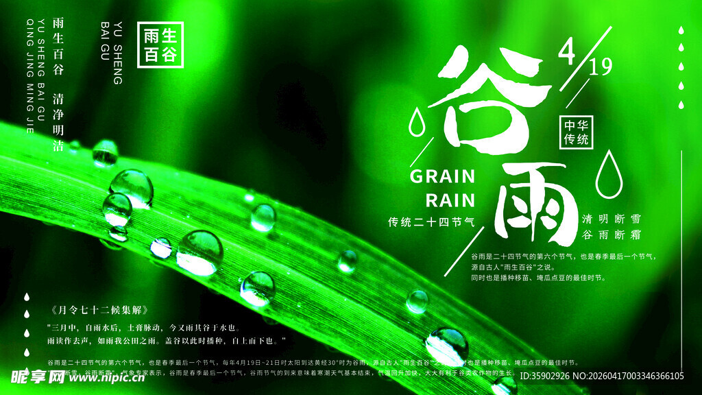 谷雨时节嫩绿叶片带水珠