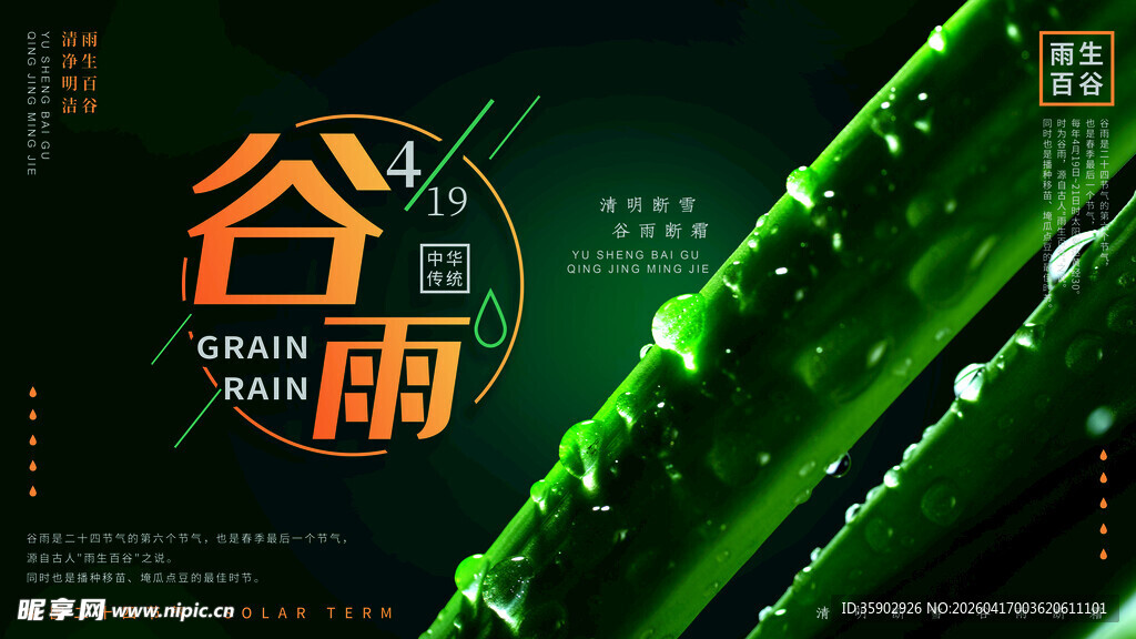 谷雨时节绿意盎然的景象