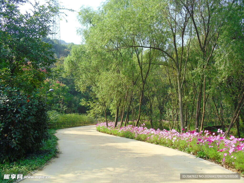 道路花径