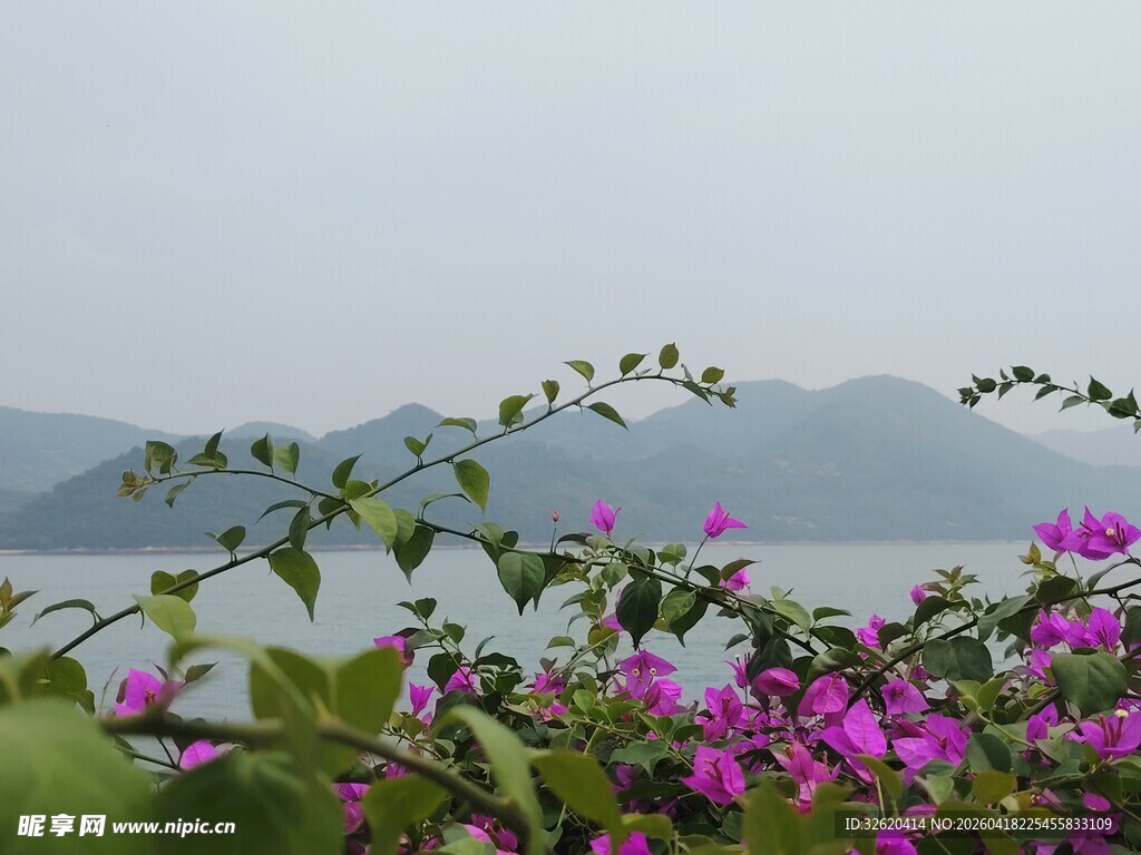 湖畔繁花伴远山美景