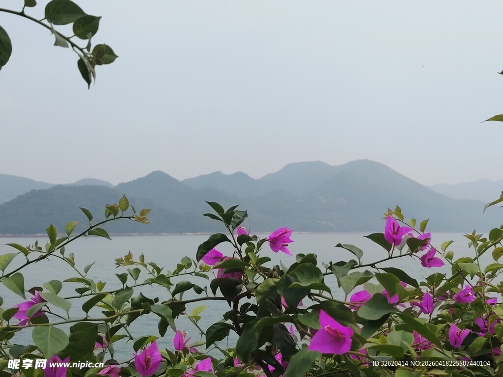湖畔繁花与远山景致