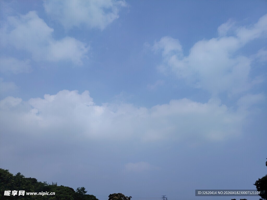 蓝天白云下的葱郁树林