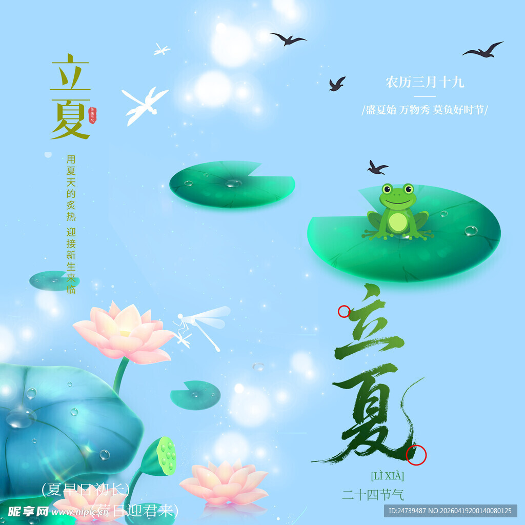 立夏素材