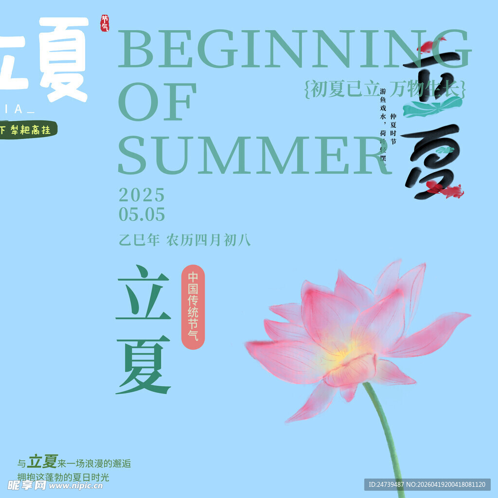 立夏素材