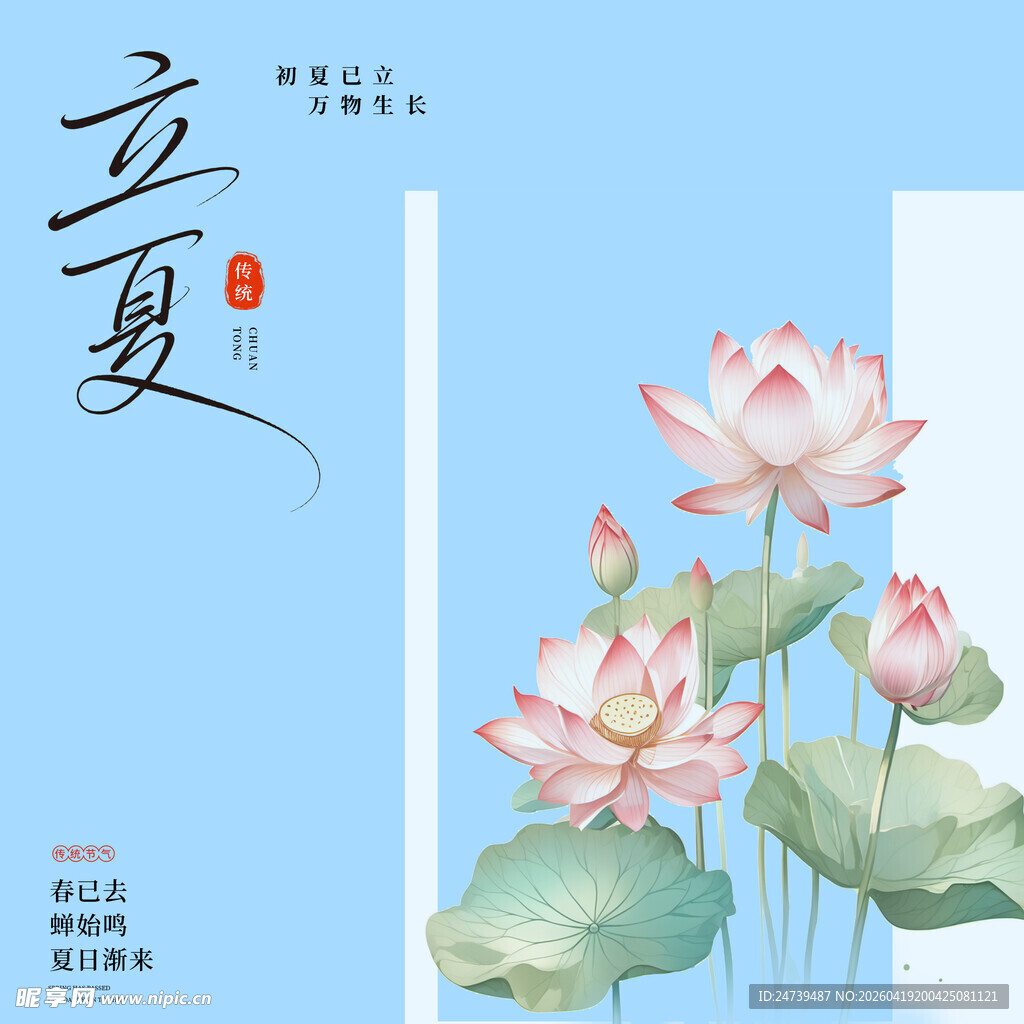 立夏素材