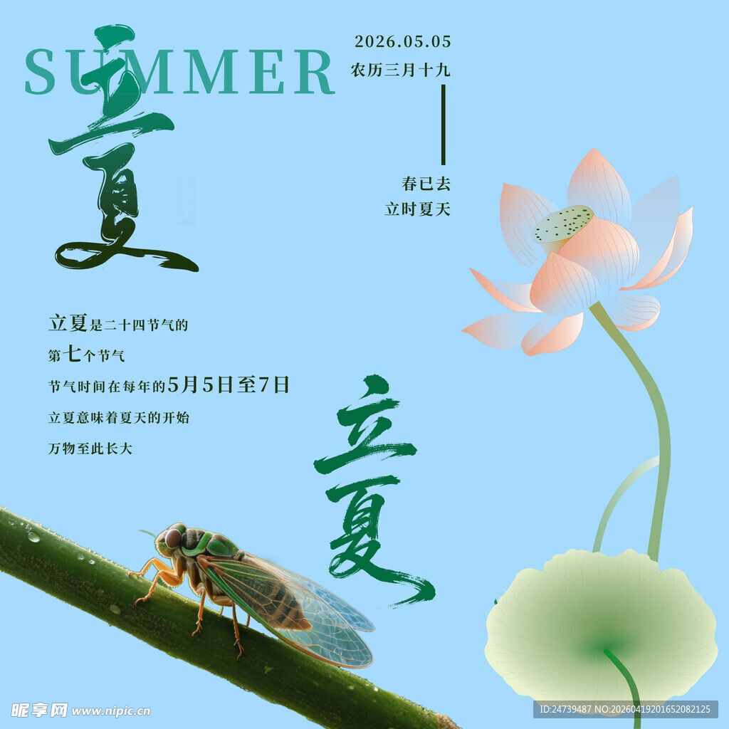 立夏素材