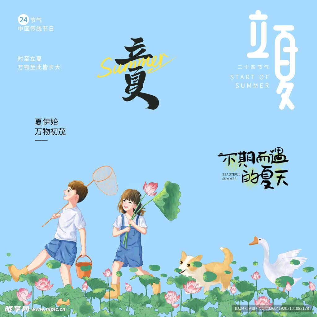 立夏素材