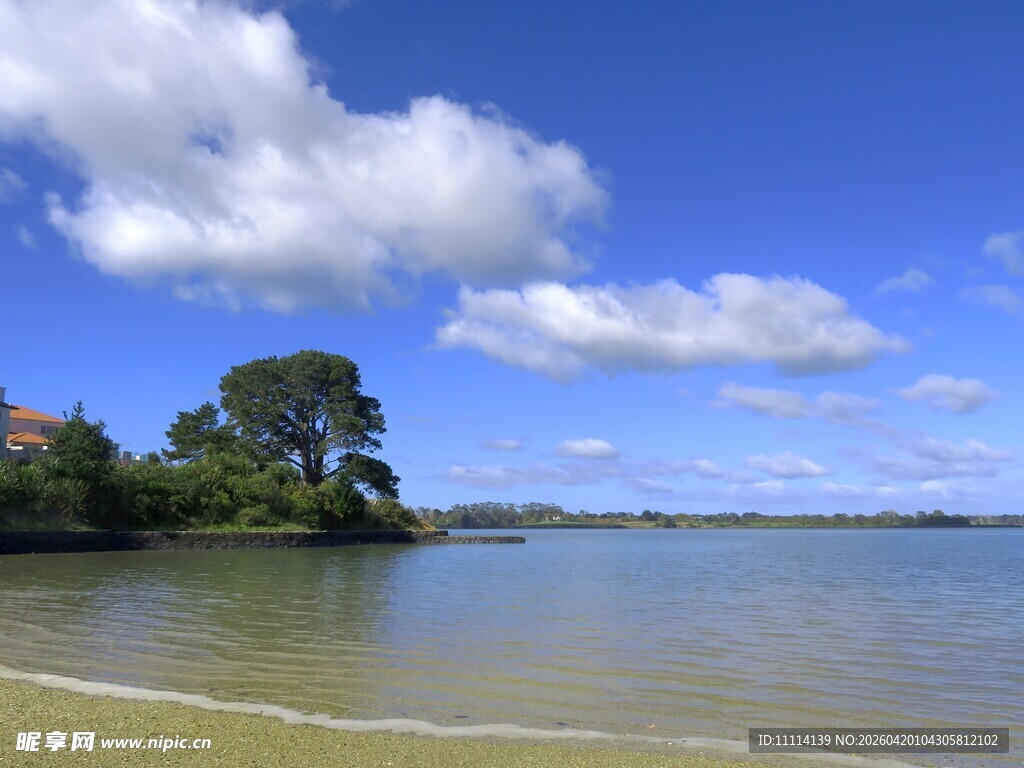 海滨蓝天绿树美丽风光